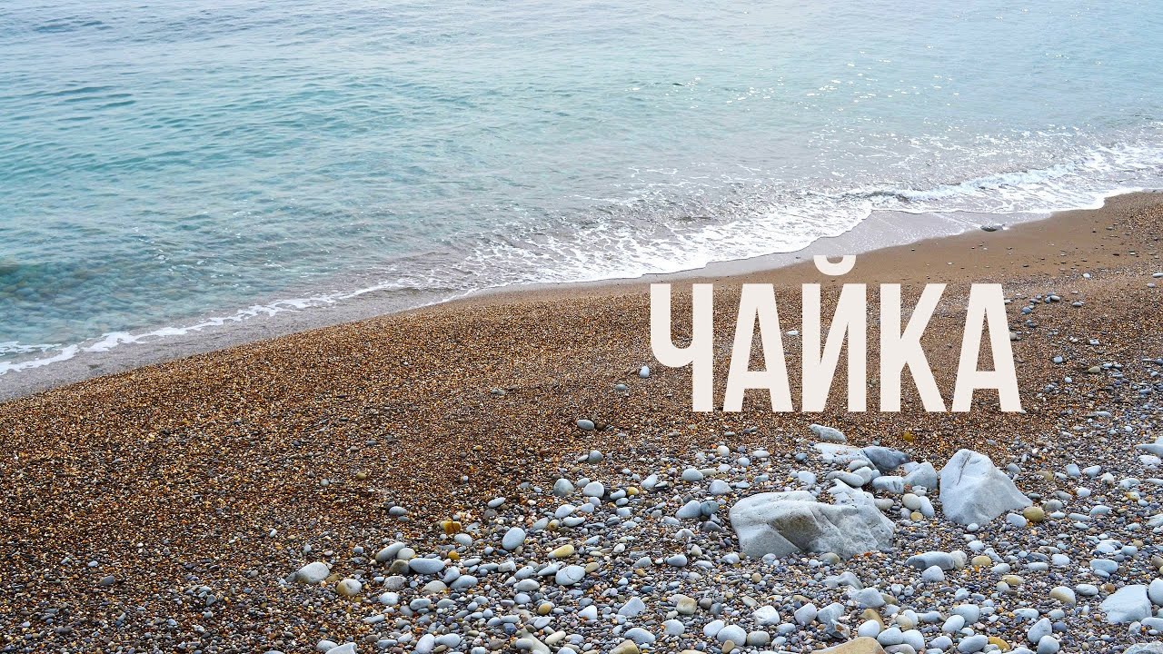 Курсеитову С.