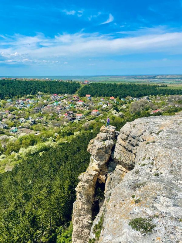 Хаялар