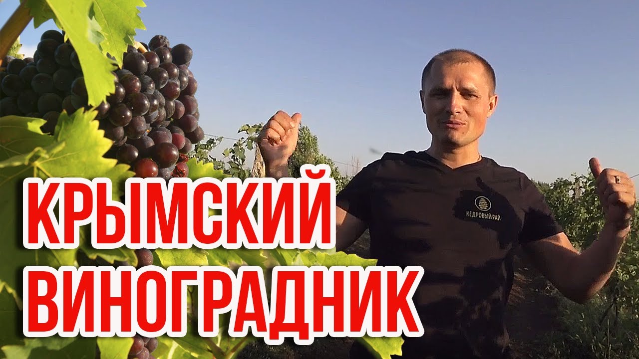 Леониду Малыку