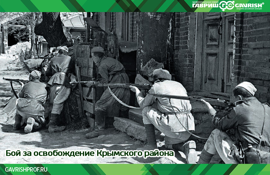 100 соженным жителям в 1943 г.
