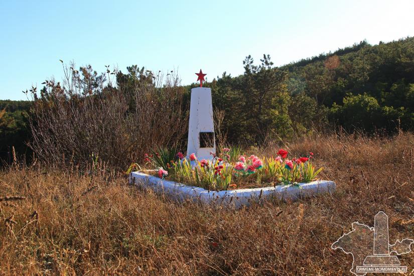 В. Г. Цыбулько