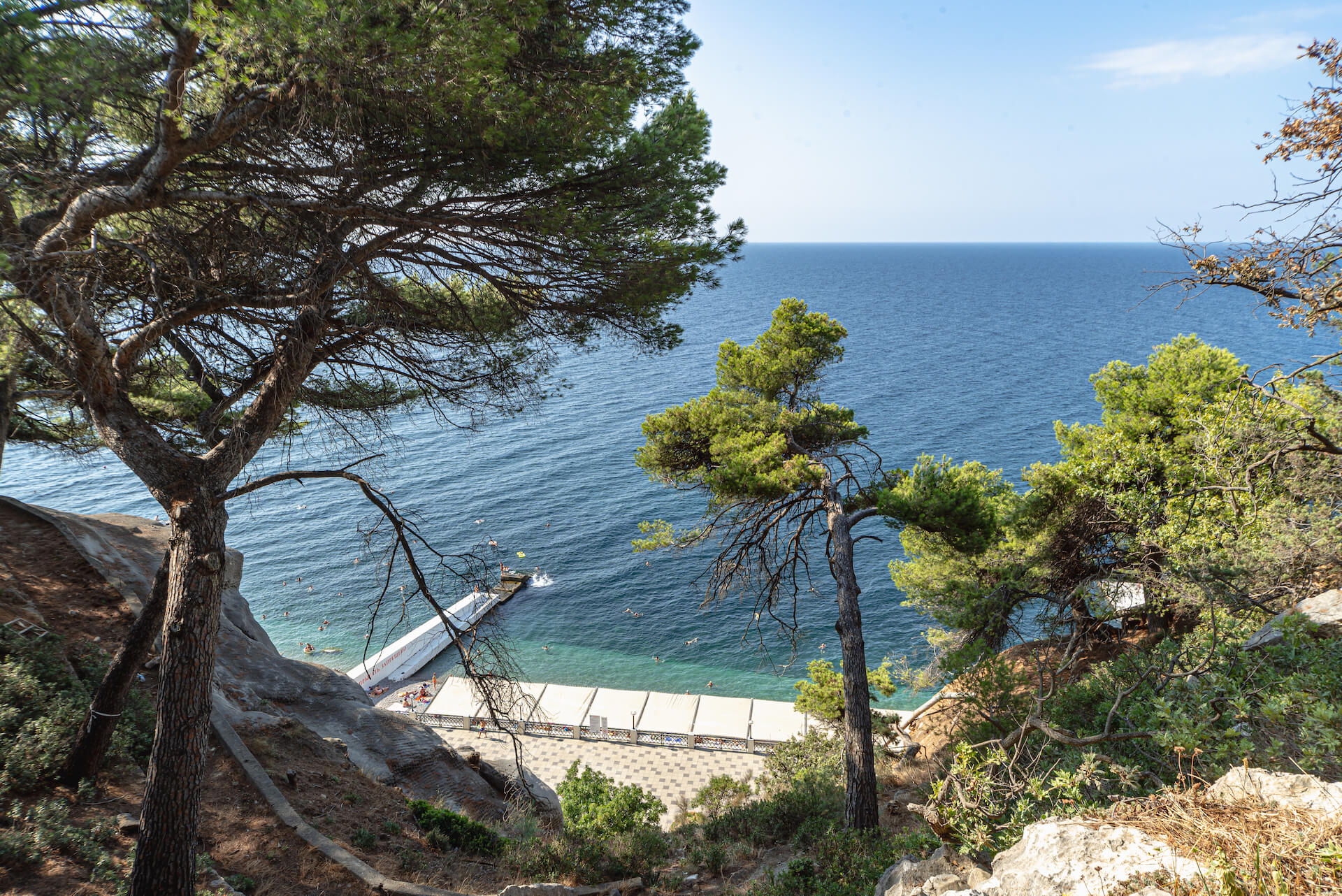 Viewpoint
