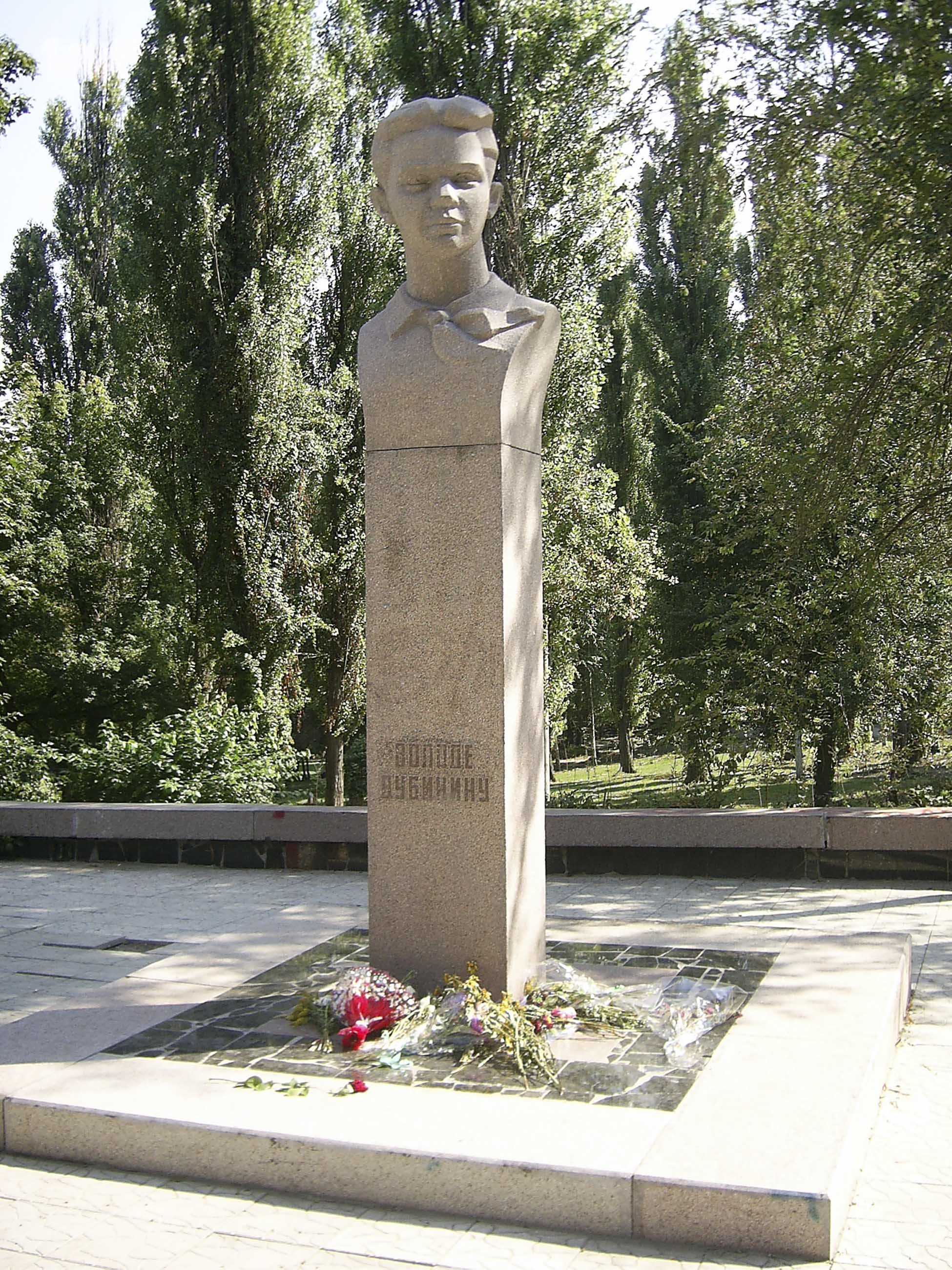 Володя Дубинин