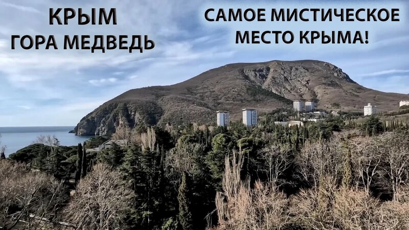Медвежье ухо